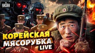 ️LIVE! АДСКИЕ бои с корейцами: солдат Кима пускают в расход пачками. ВСУ такого еще не видели