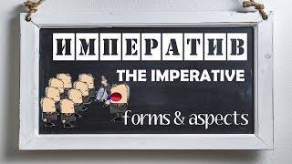 Basic Russian 3. The Imperative: Forms and Aspects