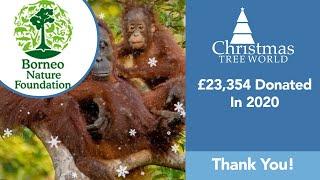 We’ve Donated Even More to the Borneo Nature Foundation This Year!