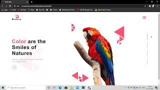 How To Make Website Using HTML & CSS | HTML CSS Website Design