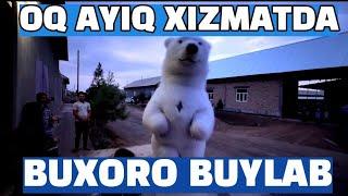 OQ AYIQ XIZMATDA BUXORO BUYLAB. TUGILGAN KUN, TUY MAROSUMLAR