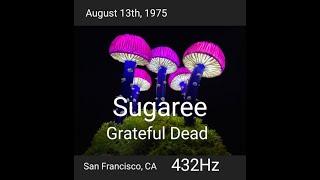 Aquarium Concert Series #6: Grateful Dead-Sugaree 432Hz August 13, 1975 San Francisco, CA
