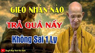 Sống Ở Đời Luật Nhân Quả không Chừa Một Ai , Gieo Nhân Nào Gặt Quả Nấy _   HT Thích Giác Hạnh mới