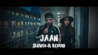 JAAN (Slowed & Reverb) | Prm Nagra |