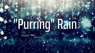 Cat Purring to Sleep | THE LOUDEST PURRING in the Rain | Feeling Peaceful & Happy