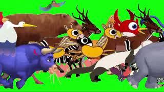 The Great Forest Migration: A Green Screen Adventure |All cartoon animals stampede on green screen