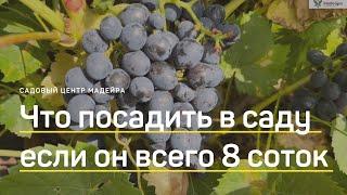 Богатый и красивый сад на 8 СОТКАХ? Реально! ПРОГУЛКА по саду заказчика. Как выглядит сад спустя 2г.