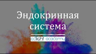 Эндокринная система (введение)