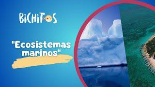 Bichitos T3 E6 - Ecosistemas Marinos