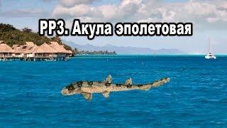Русская рыбалка 3. Акула эполетовая. (Квест "Чертова дюжина")