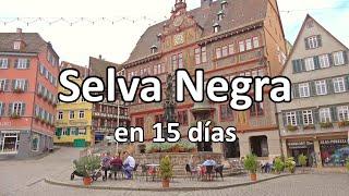  SELVA NEGRA en 15 días (Friburgo, Triberg, Stuttgart...) 🟢 GUÍA DE VIAJE (4K) | Alemania