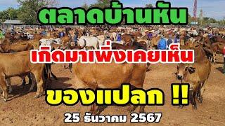 sาคาวัวล่าสุดส่งท้ายปี ตลาดบ้านหัน มหาสารคาม