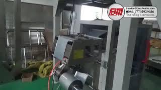 Dry Fruit Packing Machine: automatic pouch weighing filling packing (VFFS Machine)