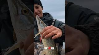 Мощная поклевка #fortmen #fishing #рыбалка #щука