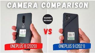 OnePlus 8 vs OnePlus 9 (Hasselblad) camera comparison! Who will win?