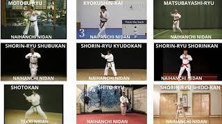 NAIHANCHI NIDAN (TEKKI) - 9 VERSÕES DO MESMO KATA CONFORME A LINHAGEM - DIFERENÇAS E SEMELHANÇAS