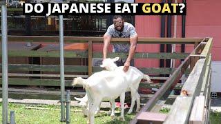 REASONS WHY JAPANESE DONT EAT GOAT MEAT?