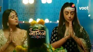 Naagin 6 PROMO: Dekhiya Pratha aka Shesh Naagin Ka Naagin Banne Ka Safar |