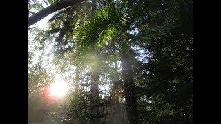 First blast of wind of the Fall  Season for the Gulf Islands