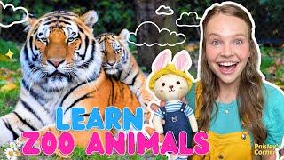 Toddler Learning - Learn Animals For Kids - Zoo Animals with Ms Lily | Educational Videos for Kids