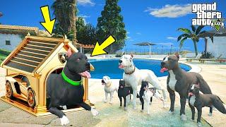 KÜÇÜK PİTBULL'LAR HURDA ARABADAN SÜPER LÜKS KÖPEK EVİ YAPIYOR! - GTA 5