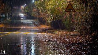 The soft rain sound falling on a rainy road, white noise good for relieving insomnia Rain Sound