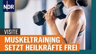 Muskeln: Wie Sport und Training Heilkräfte freisetzen | Visite | NDR