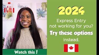 2024 Relocation To Canada | Express Entry Not working For you? Try these Options |