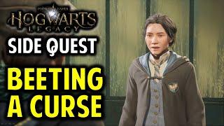 Beeting a Curse Walkthrough | Return Marmaduke's Crest | Hogwarts Legacy