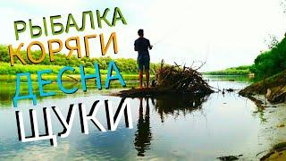 Рыбалка в КОРЯГАХ. Десна, Комета, Щука, Люля-кебаб. Like Fishing.