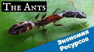 The Ants. Underground kingdom. Новичкам. Как экономить ресурсы.