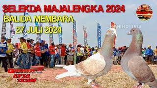 Grand Final Merpati balap 500M Sprint Selekda Majalengka 2024