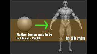 Making Human Male body in zbrush || Zart OnlineMasterClass || Part-1