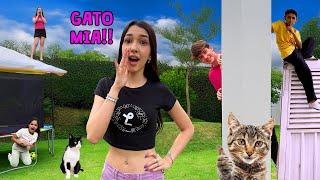 QUAL GATO SE ESCONDE MELHOR? GATO MIA EXTREMO COM MEUS AMIGOS | Luluca