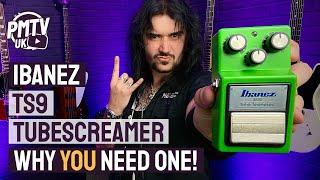 Ibanez TS9 Tubescreamer - The MUST HAVE Overdrive Pedal! - Review & Demo
