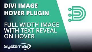 Divi Theme Image Hover Plugin Full Width Image With Text Reveal On Hover 