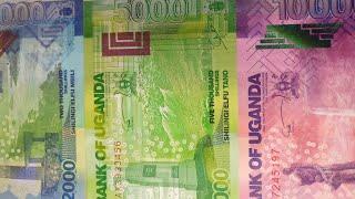 #14 #Банкноты Уганды / #Banknotes of Republic of #Uganda #BanknoTime #review #обзор #ультрафиолет