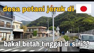 DESA PETANI JERUK DI JEPANG!! damai banget kalo tinggal di sini