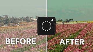 Uploading LUTs to my phone! (Moment Pro Camera Update)