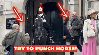 Drunk Man Tried to Punch Kings Guard Horse, Then Flees in Panic.