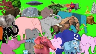 animal stampede part - 3 | elephant stampede green screen | elephant version | mammoth run