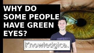 Why Do Some People Have Green Eyes?