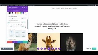 diviflash Creación de un portafolio minimalista utilizando Divi