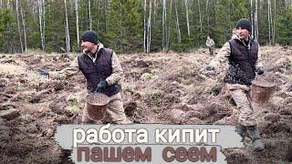 Нашли заброшенную избу. Пашем, сеем.