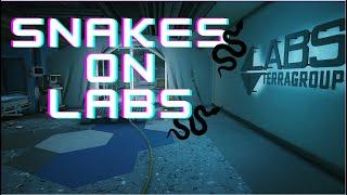 Snakes On Terra group Labs - Escape from Tarkov