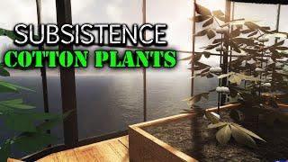 Where to get Cotton Plants in Subsistence