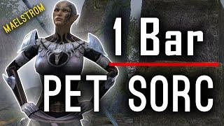 One Bar Pet Sorc Build MAELSTROM ARENA - Full Walkthrough + Guide