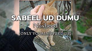 SABEEL UD DUMU Nasheed (ONLY VOCALS/SPEED UP)