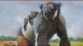 The Giant Extinct Lemurs of Madagascar