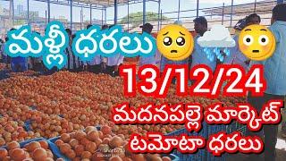 13-12-24 Madanapalle Tomato Market price Today || Today Tomato Market Rate in Madanapalle #today